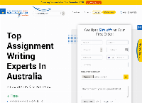 Online Assignment Expert's website