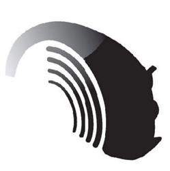 Limestone Audiology & Tinnitus Clinic