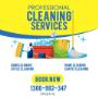 Professional Cleaning