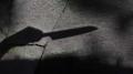 Murder charges in New South Wales  The difference between murder and manslaughter