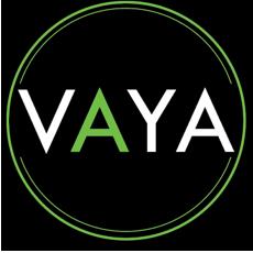 VAYA Electric Scooters & Electric Motorbikes Brisbane
