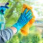 Domestic Window Cleaning Melbourne