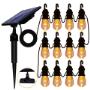 Bright Solar String Light Edison 12 Outdoor Decoration Warm White Bulbs – Sunny Bunny Solar Australia