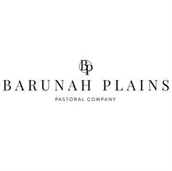 Barunah Plains