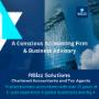 RBizz Solutions Cover