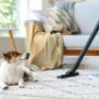 house cleaning services mornington peninsula