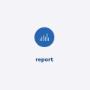 Report