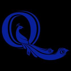 Q Realty