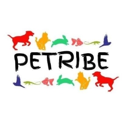 Petribe