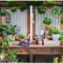 Natures Garden Gift