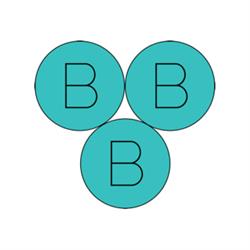 Brain Body Balance Physiotherapy