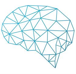 The Mind and Movement Company