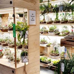 Terrarium Laboratory