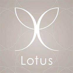 Lotus Chiropractic