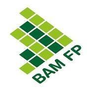 BAM Financial Planning