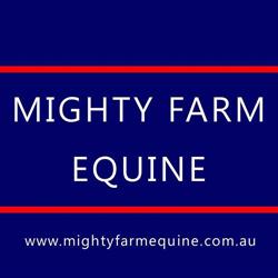 Mighty Farm Equine