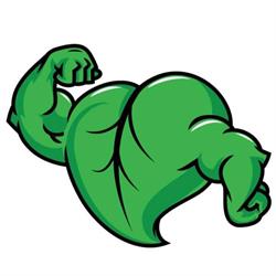 Muscle Garden Health & Fitness Centre