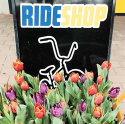 RIDESHOP - GIANT BRADDON