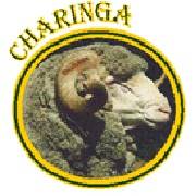 Charinga Merinos