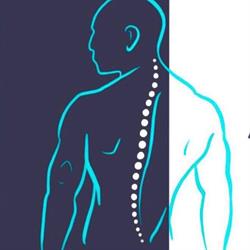 Elite Movement Therapy