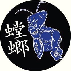 Blue Mantis Kung Fu Gold Coast
