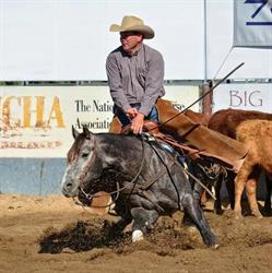Moondyne Cutting Horses