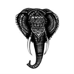 Elephant Cafe