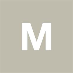 Mizael Partners (Accountants and Auditors)