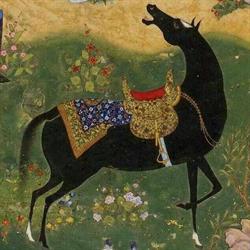 Story Horse