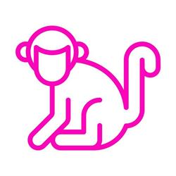 TNM Creative Media