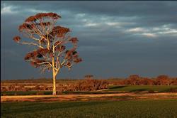 Nulla Nulla farm retreat