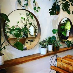 Plumage Salon