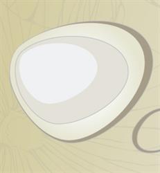 Palmerston Jewellers