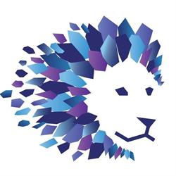 Goodwill Chartered Accountants