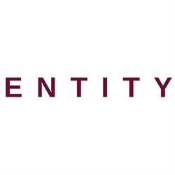 ENTITY