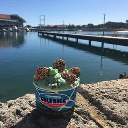 Cold Rock Hillarys