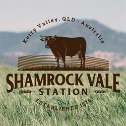 Shamrock Vale Station