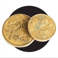 Gold Coin - OP SHOP