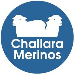 Challara Poll Merino Stud
