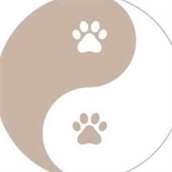 Balanced Paws