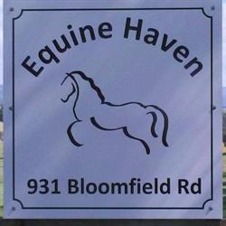 Equine Haven