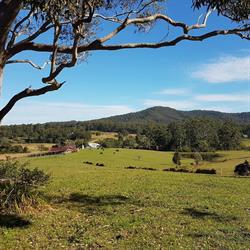 The Gallery Farm