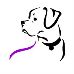 Fetch Pet Resort
