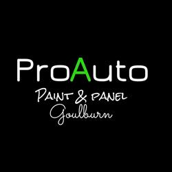 Proauto paint and panel