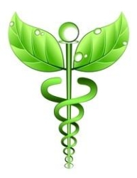 Galston Naturopathic Medicine
