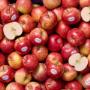 Montague apples