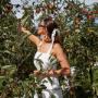 Montague fruit picking farm