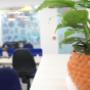 Neuronimbus Office View