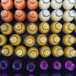 Foley's Frothing Fermentations