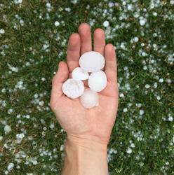DENT ZONE (5stars +16yrs Hail damage & Dent repair / PDR Training)
